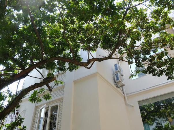 Le Petit Hanoi Luaran gambar